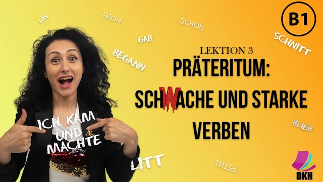 Videolektion